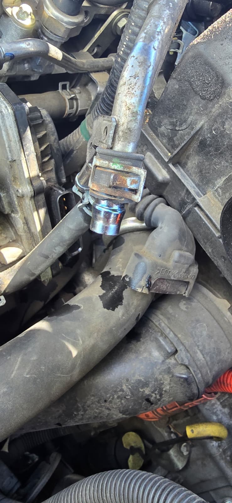 Cooling system service